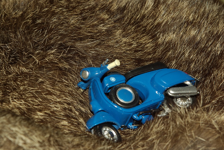 Test macro: vecchio zoom Pentax F 28/80 montato su  K10D